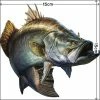 Savage Gear Savage Barramundi Sticker Small 2 Pack 2 Savage Gear Savage Barramundi Sticker Small 2 Pack -Spear Fishing Gear Shop BCF 425088 00 hi res