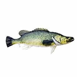 Viva Gaby Murray Cod Fish Pillow 100cm 5 Viva Gaby Murray Cod Fish Pillow 100cm -Spear Fishing Gear Shop BCF 618230 01 hi res