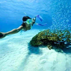 GoPro Hero9 12 GoPro Hero9 -Spear Fishing Gear Shop BCF 647859 04 hi res