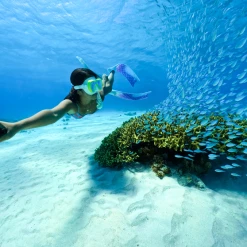 GoPro Protective Housing (Hero 9/10) 8 GoPro Protective Housing (Hero 9/10) -Spear Fishing Gear Shop BCF 647877 02 hi res