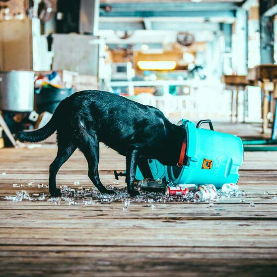 BOTE KULA 5 Cooler Aqua Blue 4 BOTE KULA 5 Cooler Aqua Blue - Image 2