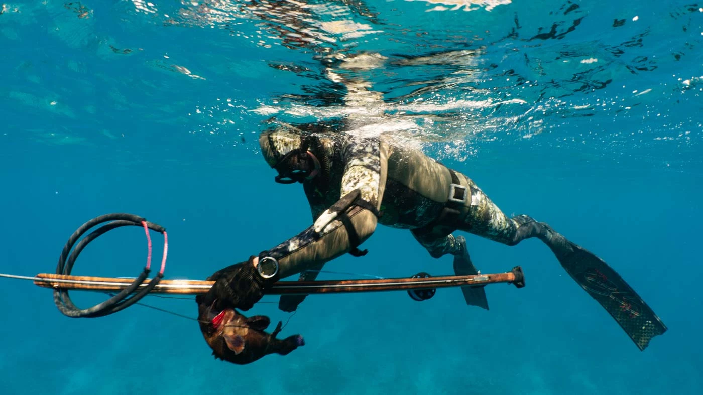 Spear Fishing Gear Shop -Spear Fishing Gear Shop Spearfishing Gear 1